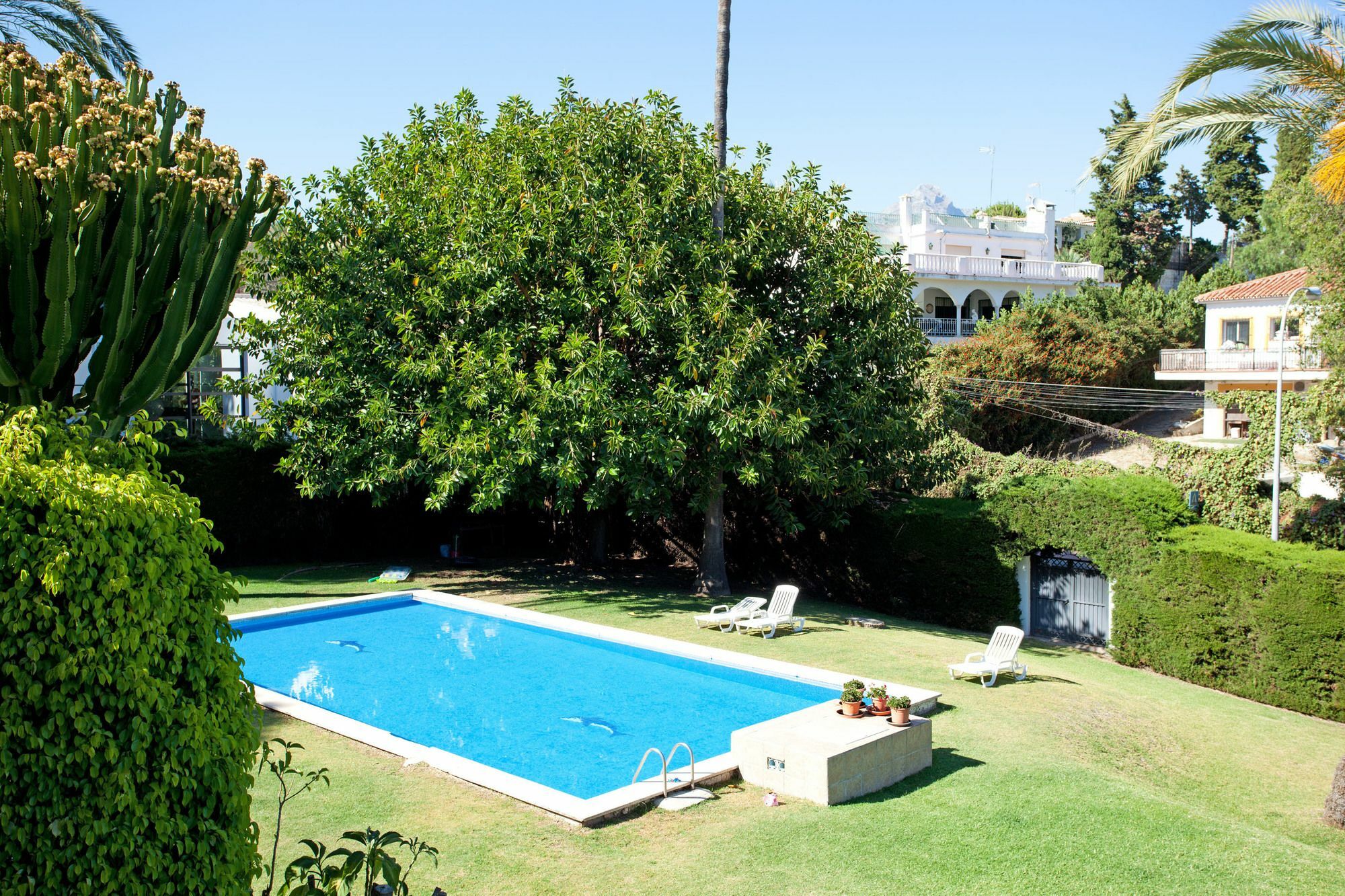 Jazmines Nueva Andalucia * Marbella
